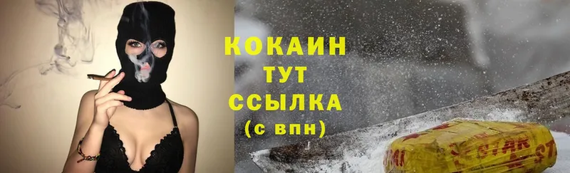 как найти закладки  Злынка  Cocaine Fish Scale 